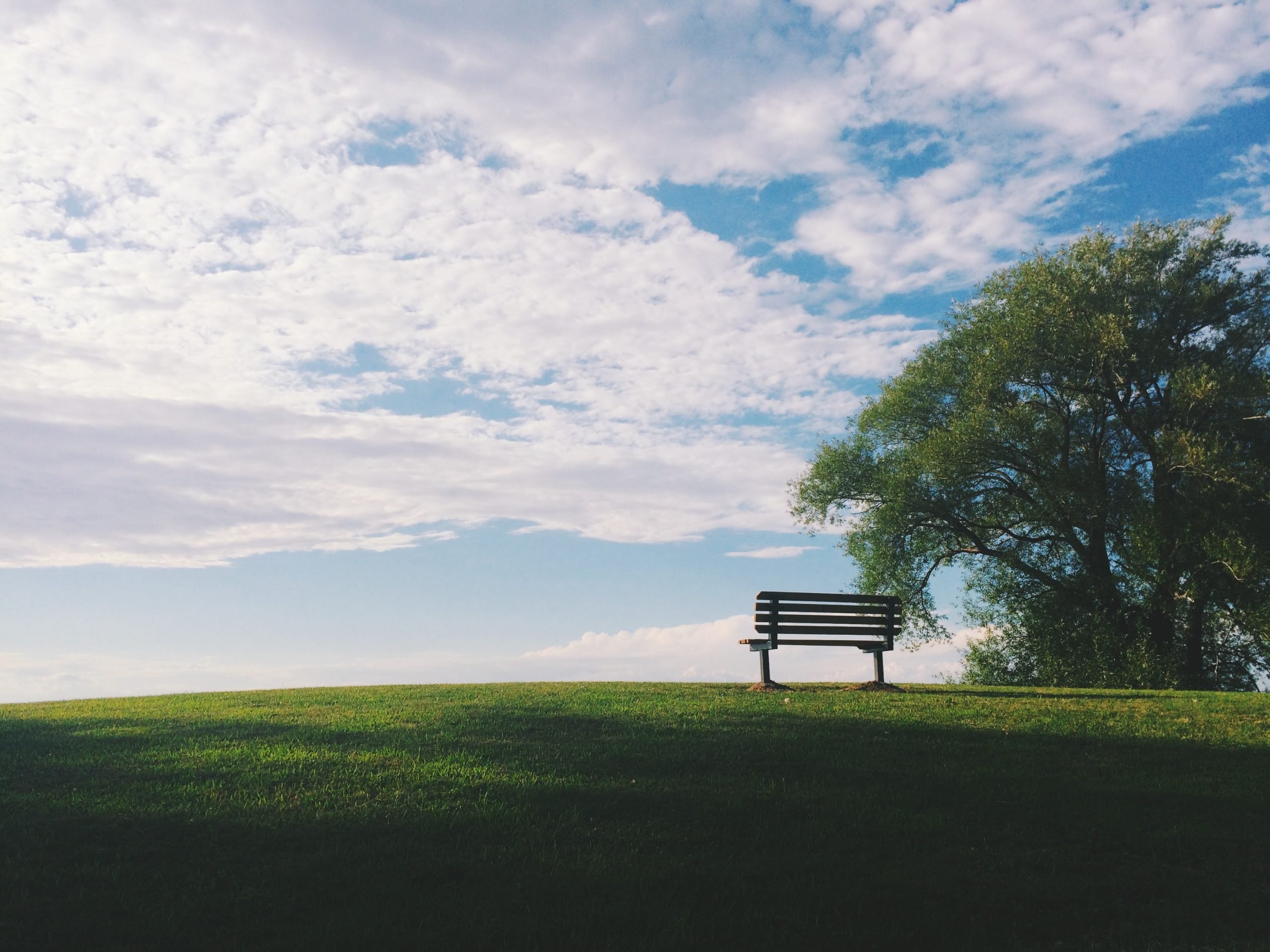 How to Prepare a Burial for a Loved One